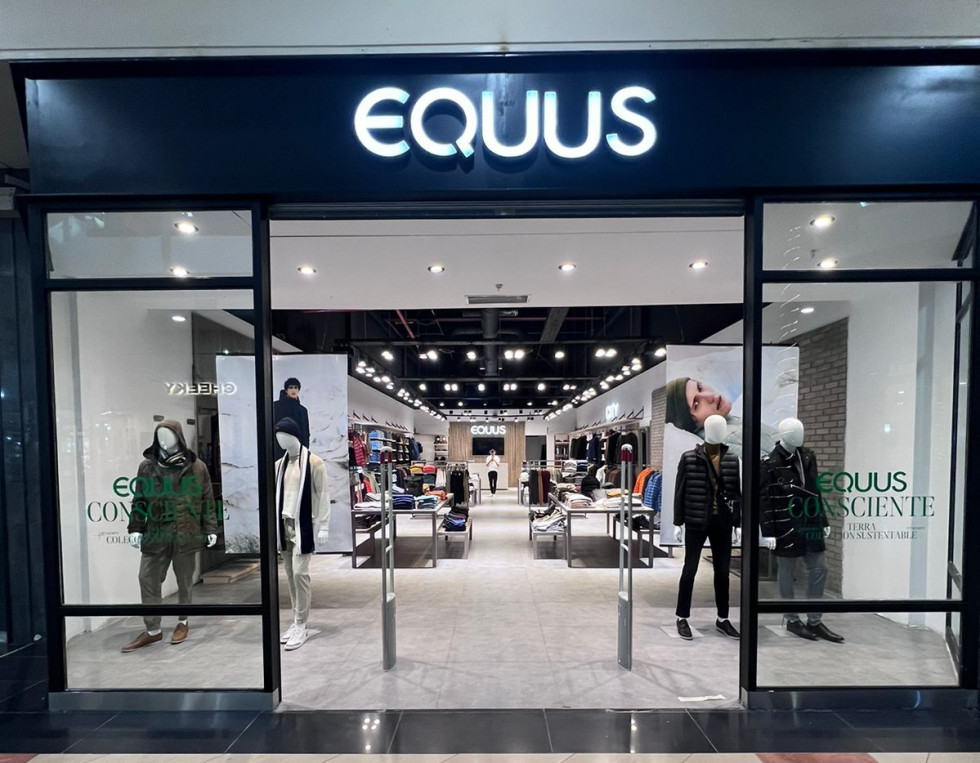 Equus foto